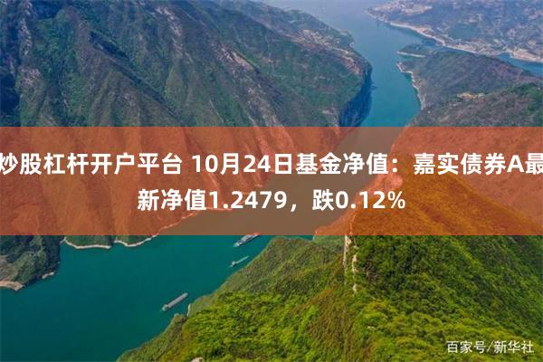 炒股杠杆开户平台 10月24日基金净值：嘉实债券A最新净值1.2479，跌0.12%