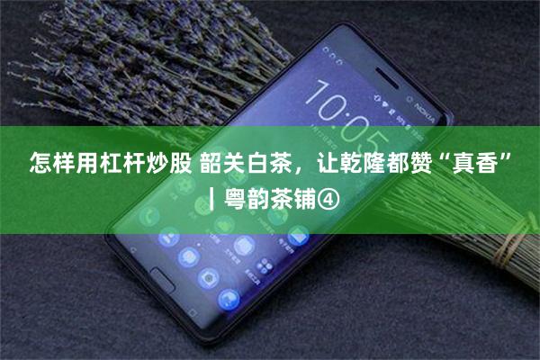 怎样用杠杆炒股 韶关白茶，让乾隆都赞“真香”｜粤韵茶铺④
