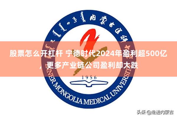 股票怎么开杠杆 宁德时代2024年盈利超500亿，更多产业链公司盈利却大跌