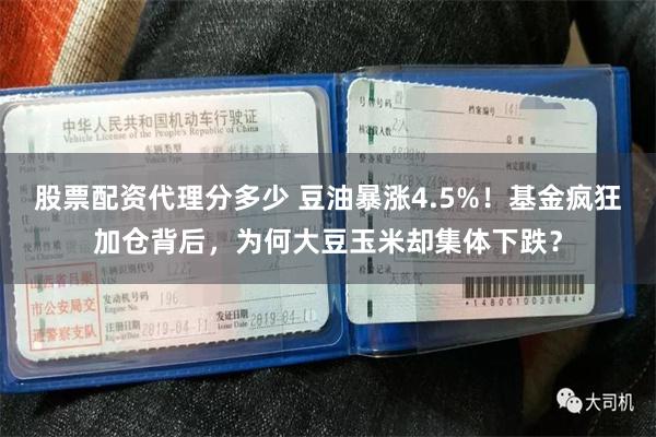 股票配资代理分多少 豆油暴涨4.5%！基金疯狂加仓背后，为何大豆玉米却集体下跌？